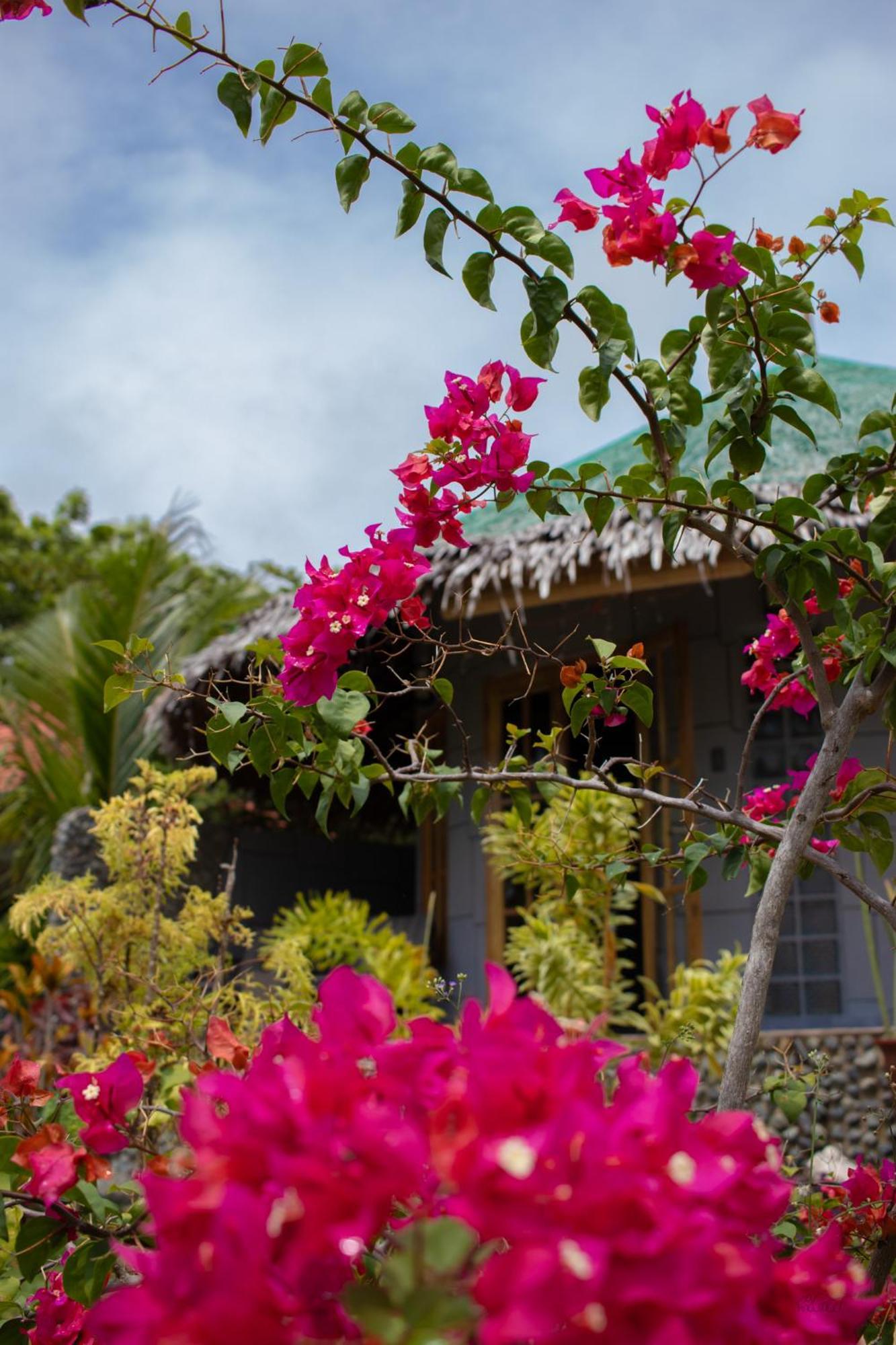 Rhenmart-Inn Siquijor Exteriör bild